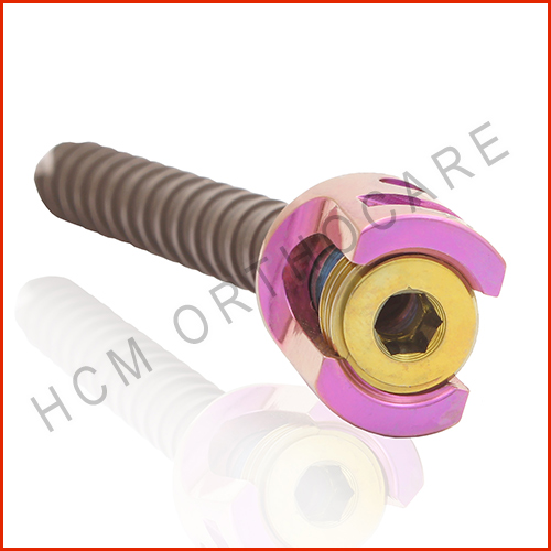 Single lock Pedicle Screw