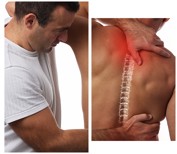 Welcome to Orthopedic Implants Manufacturer