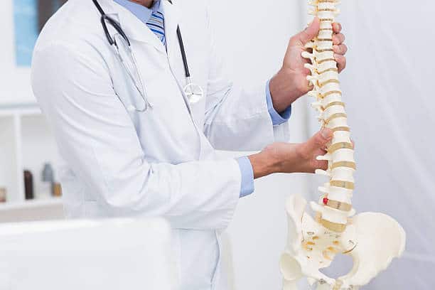Doctor holding anatomical spine in medical office